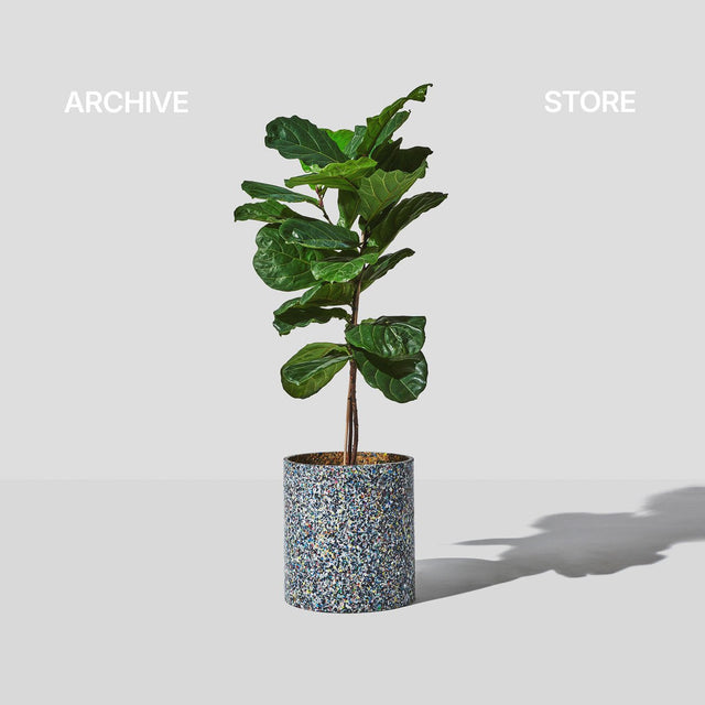 Design By Them Archive Store | Limited Stock | Final Sale