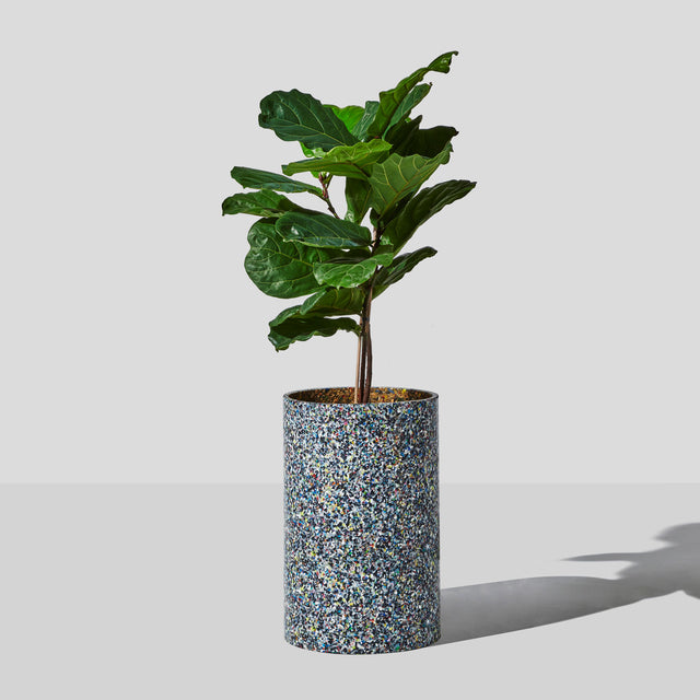 Confetti Planter