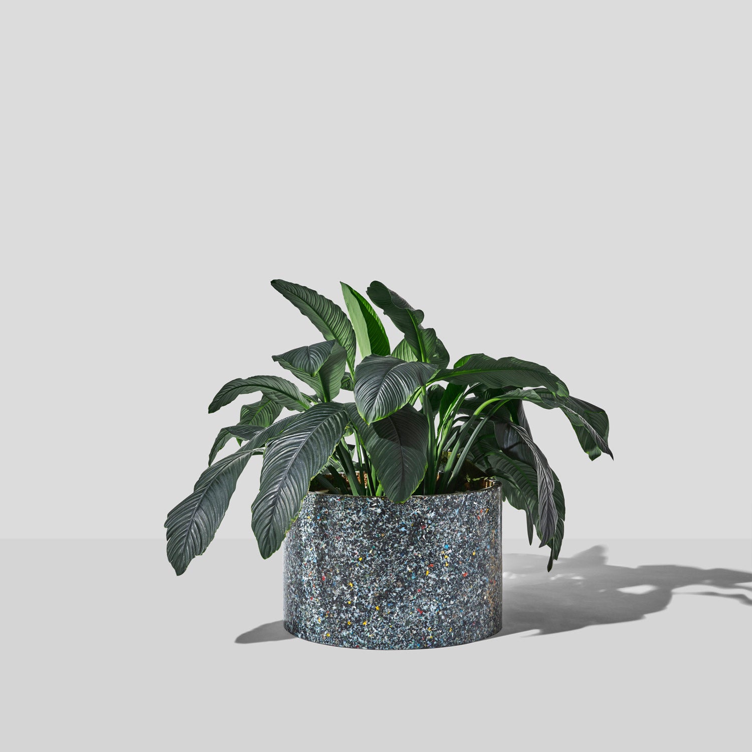 Confetti Planter | 100% Recycled Plastic Indoor/Outdoor Pot | DesignByThem | GibsonKarlo