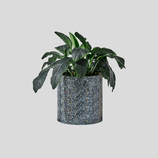 Confetti Planter