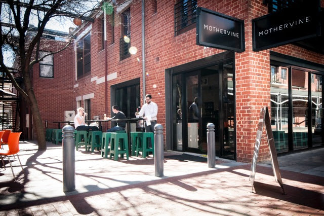 Mother Vine, 1000 Chairs, Adelaide