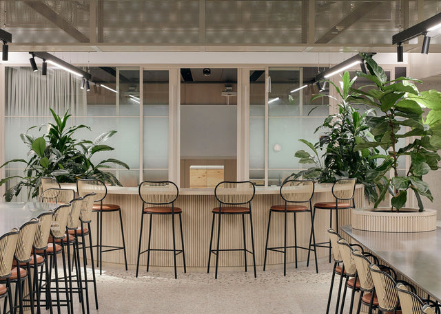 Herston Biofabrication Institute, Hassell, Brisbane