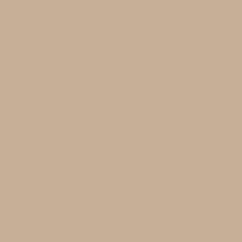 Swatch Chip - Powder Coat - Beige - 30% Gloss
